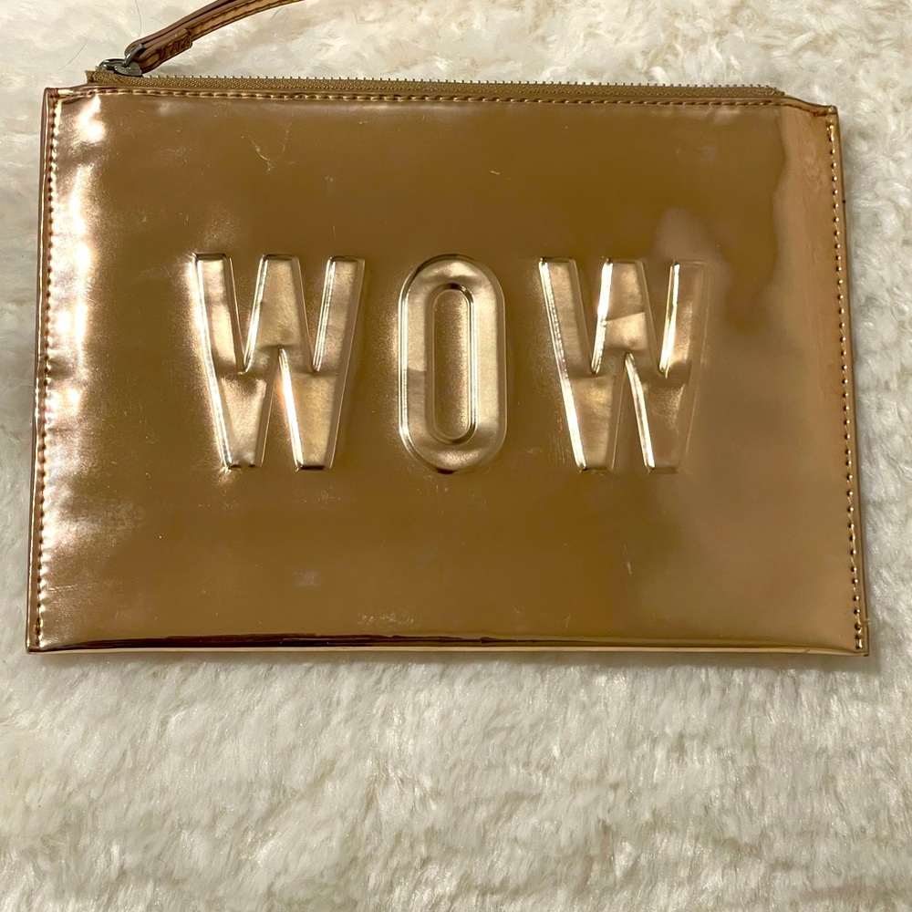 Stella & Dot “WOW” Clutch/Pouch